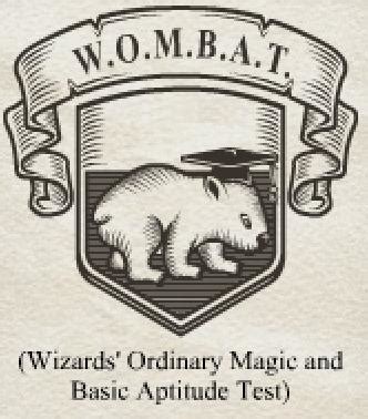 harry potter owl scores|Wizards' Ordinary Magic and Basic Aptitude Test.